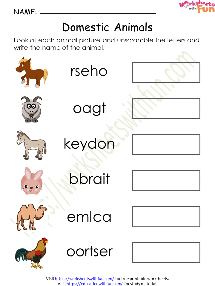 environmental-science-preschool-domestic-animals-worksheet-6